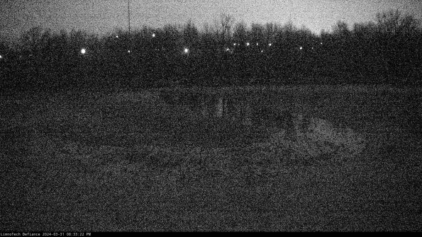 Cell 4_24-03-31_20-33-22-49