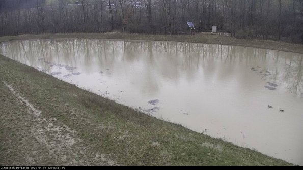 Basin_24-04-01_12-45-31-59