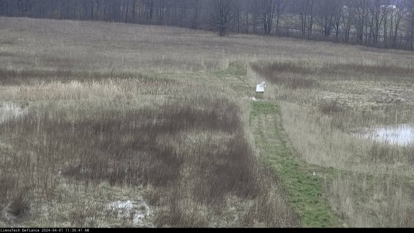 Cell 1 to 2_24-04-01_11-36-41-52