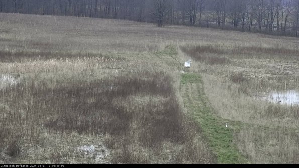 Cell 1 to 2_24-04-01_12-10-10-50