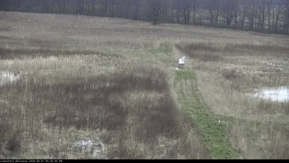 Cell 1 to 2_24-04-01_17-45-05-50