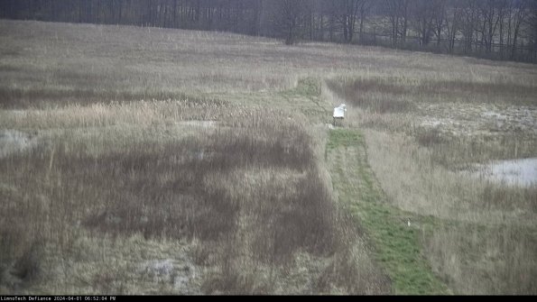 Cell 1 to 2_24-04-01_18-52-04-50