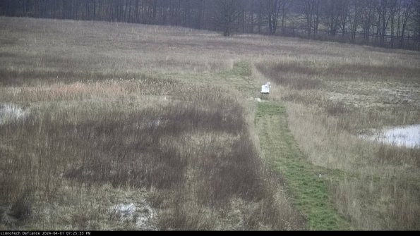 Cell 1 to 2_24-04-01_19-25-33-51