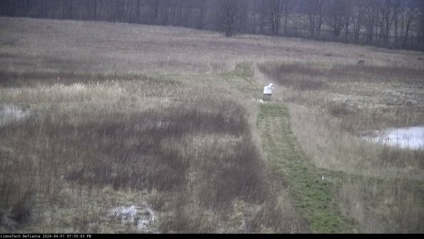 Cell 1 to 2_24-04-01_19-59-03-49