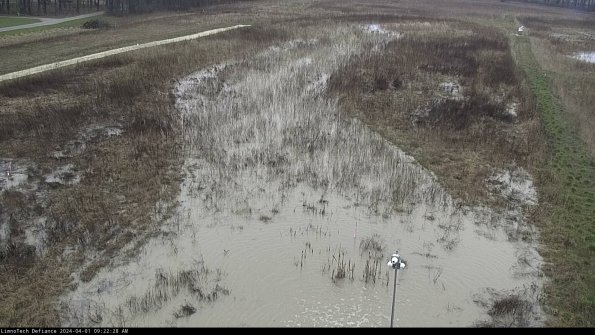 Cell 1_24-04-01_09-22-28-51