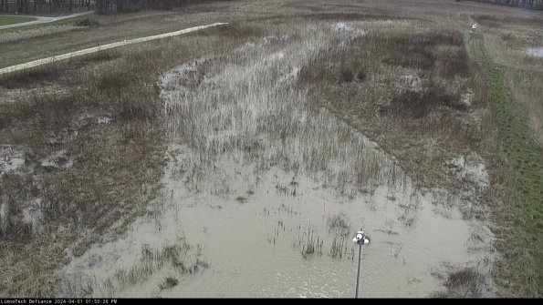 Cell 1_24-04-01_13-50-26-50