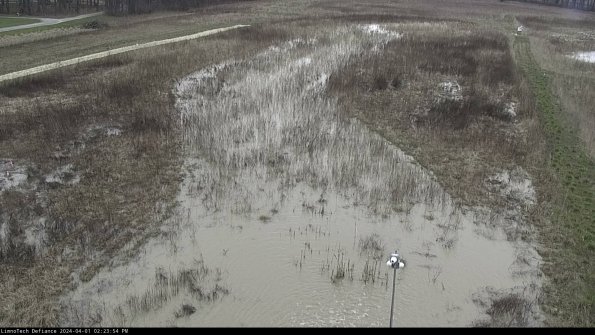 Cell 1_24-04-01_14-23-54-52