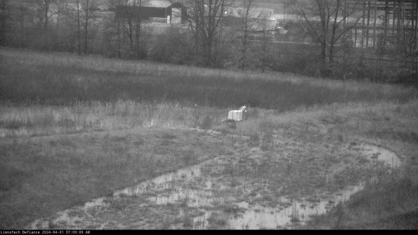 Cell 2 to 3_24-04-01_07-09-09-49