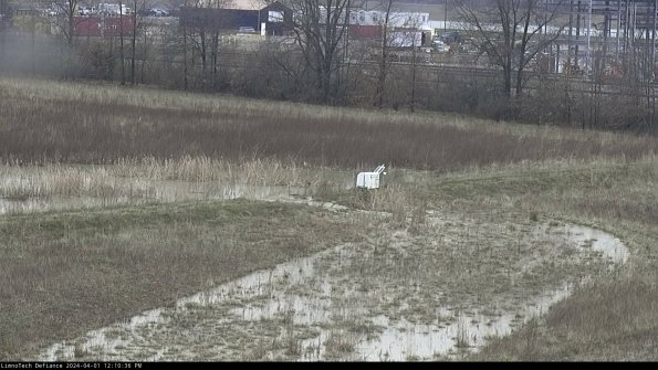 Cell 2 to 3_24-04-01_12-10-36-62