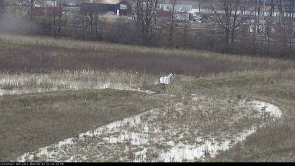 Cell 2 to 3_24-04-01_14-24-34-72