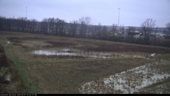 Cell 2_24-04-01_07-42-27-49