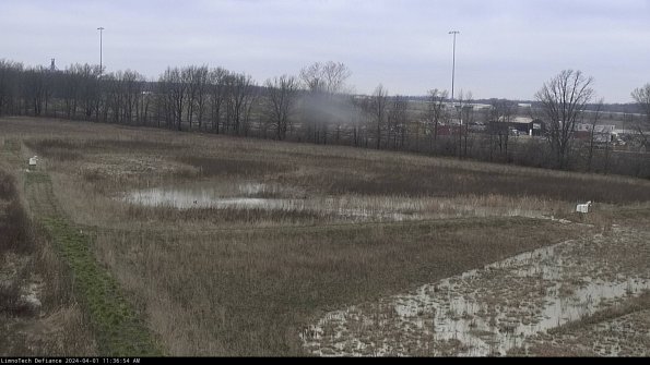 Cell 2_24-04-01_11-36-54-53