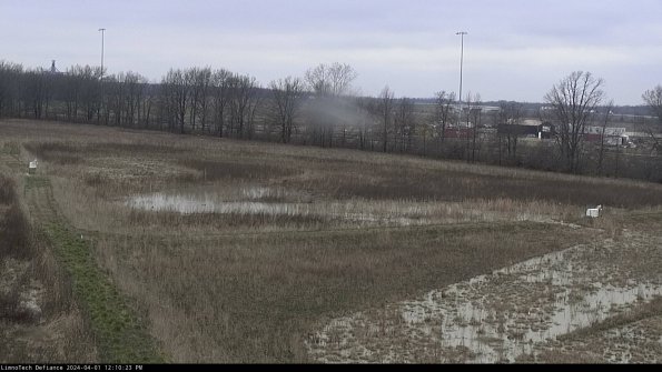 Cell 2_24-04-01_12-10-23-54