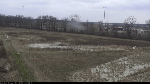 Cell 2_24-04-01_13-17-22-54