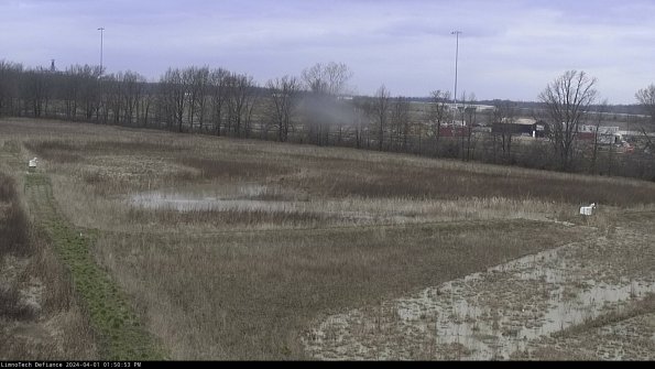 Cell 2_24-04-01_13-50-53-53