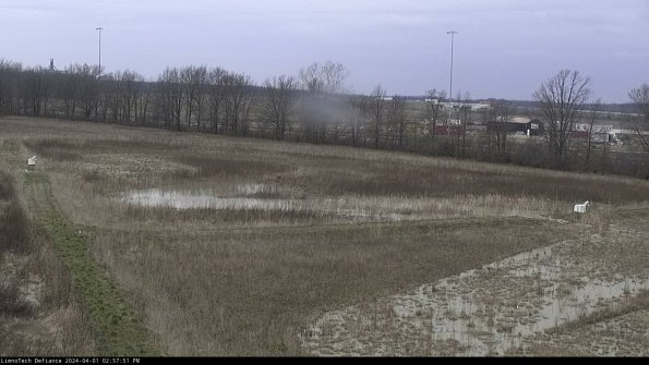 Cell 2_24-04-01_14-57-51-53