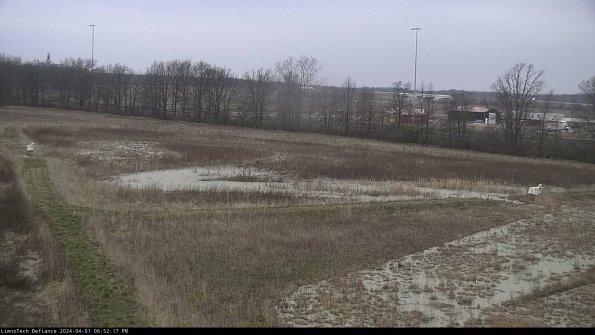 Cell 2_24-04-01_18-52-17-51