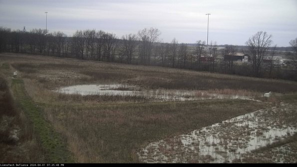 Cell 2_24-04-01_19-25-46-59