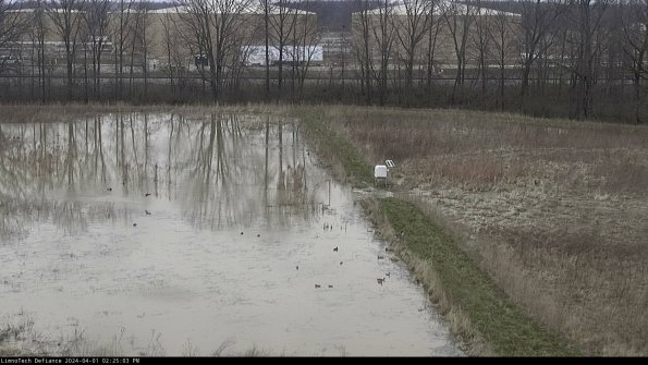 Cell 3 to 4_24-04-01_14-25-03-49