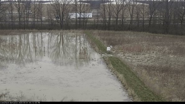 Cell 3 to 4_24-04-01_17-12-30-50