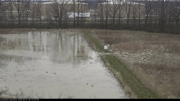 Cell 3 to 4_24-04-01_18-19-30-50