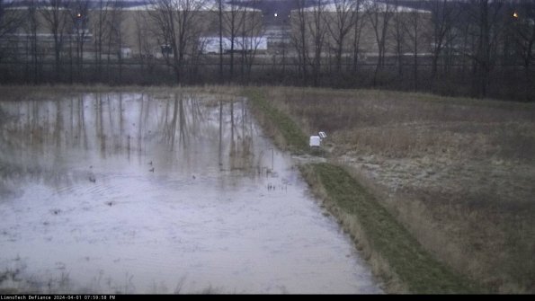 Cell 3 to 4_24-04-01_19-59-58-51