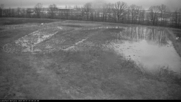 Cell 3_24-04-01_07-09-24-50