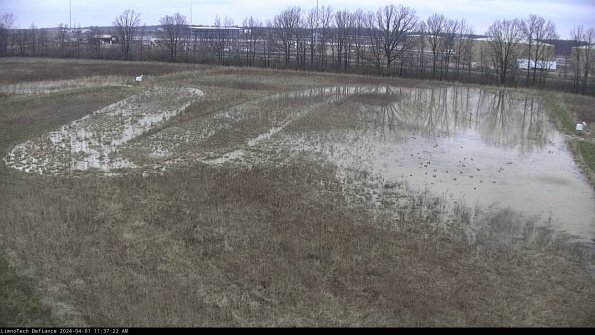 Cell 3_24-04-01_11-37-22-49