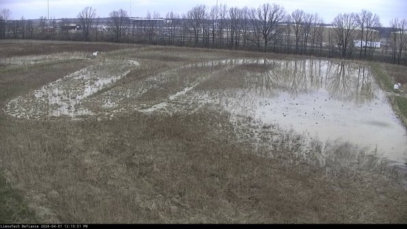 Cell 3_24-04-01_12-10-51-47