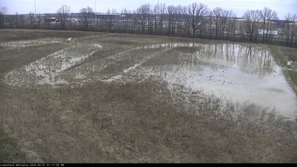 Cell 3_24-04-01_13-17-50-50