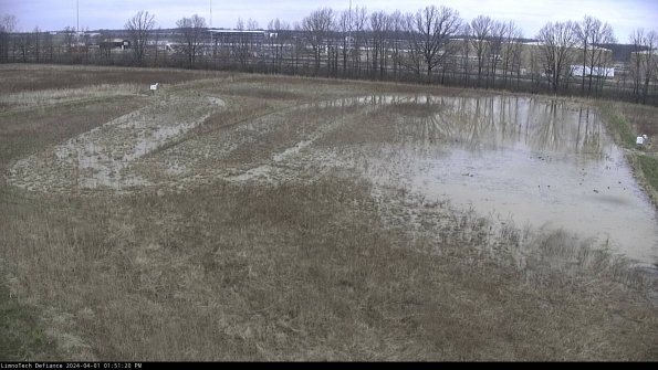 Cell 3_24-04-01_13-51-20-72