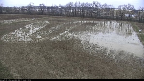 Cell 3_24-04-01_14-24-49-47