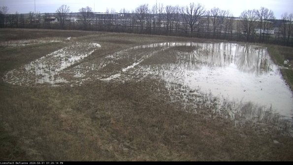 Cell 3_24-04-01_19-26-14-49