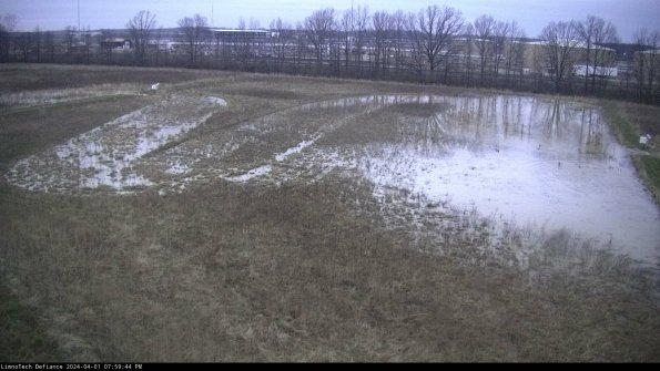 Cell 3_24-04-01_19-59-44-50