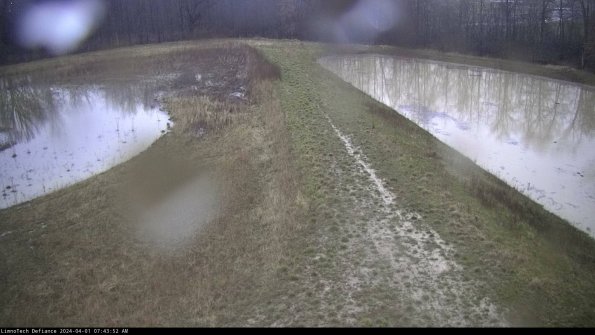 Cell 4 to Basin_24-04-01_07-43-52-48