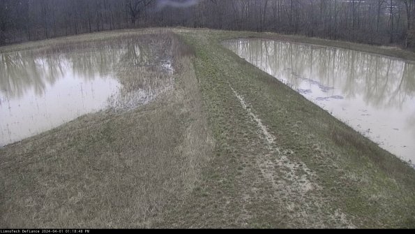 Cell 4 to Basin_24-04-01_13-18-48-50