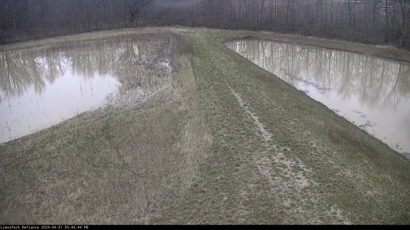 Cell 4 to Basin_24-04-01_17-46-44-50