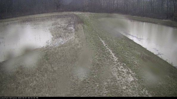 Cell 4 to Basin_24-04-01_18-53-43-53