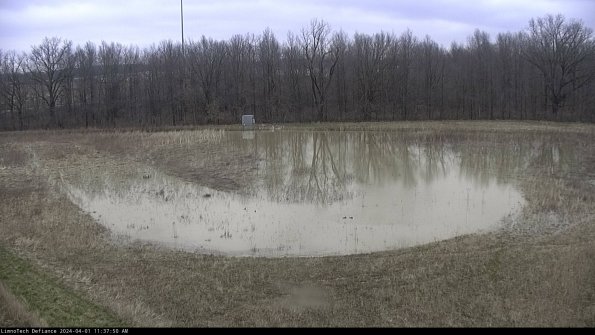 Cell 4_24-04-01_11-37-50-52