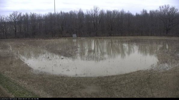 Cell 4_24-04-01_13-18-18-50