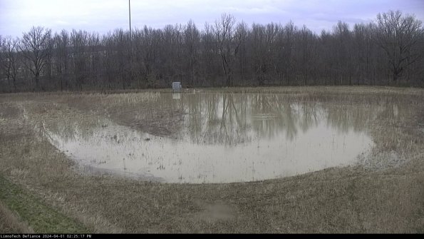 Cell 4_24-04-01_14-25-17-50