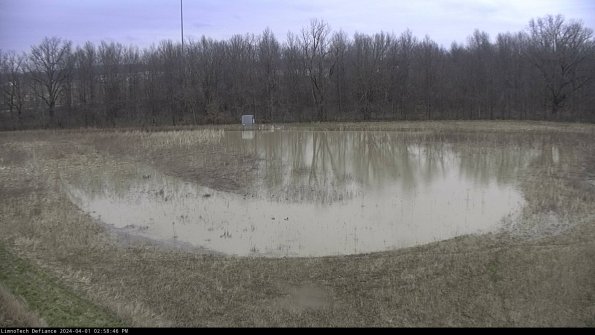 Cell 4_24-04-01_14-58-46-52