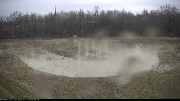 Cell 4_24-04-01_18-53-13-50