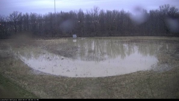 Cell 4_24-04-01_20-00-12-50