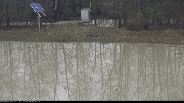 Basin Inflow_24-04-02_11-39-05-76