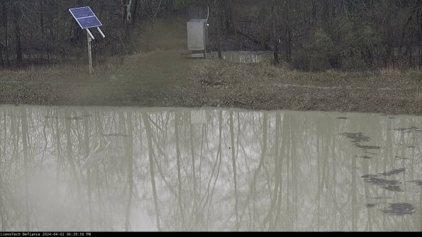 Basin Inflow_24-04-02_18-20-56-65