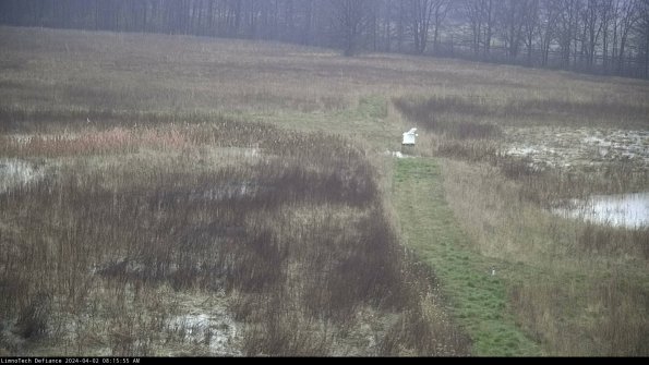 Cell 1 to 2_24-04-02_08-15-55-51