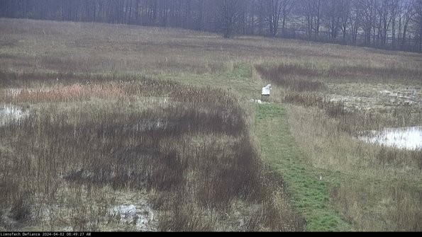 Cell 1 to 2_24-04-02_08-49-27-49