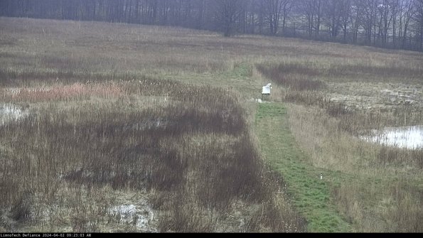 Cell 1 to 2_24-04-02_09-23-03-51