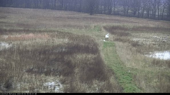 Cell 1 to 2_24-04-02_09-56-31-53